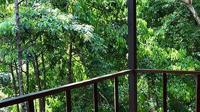 Luxe Treetop Sarang Japamala Resort