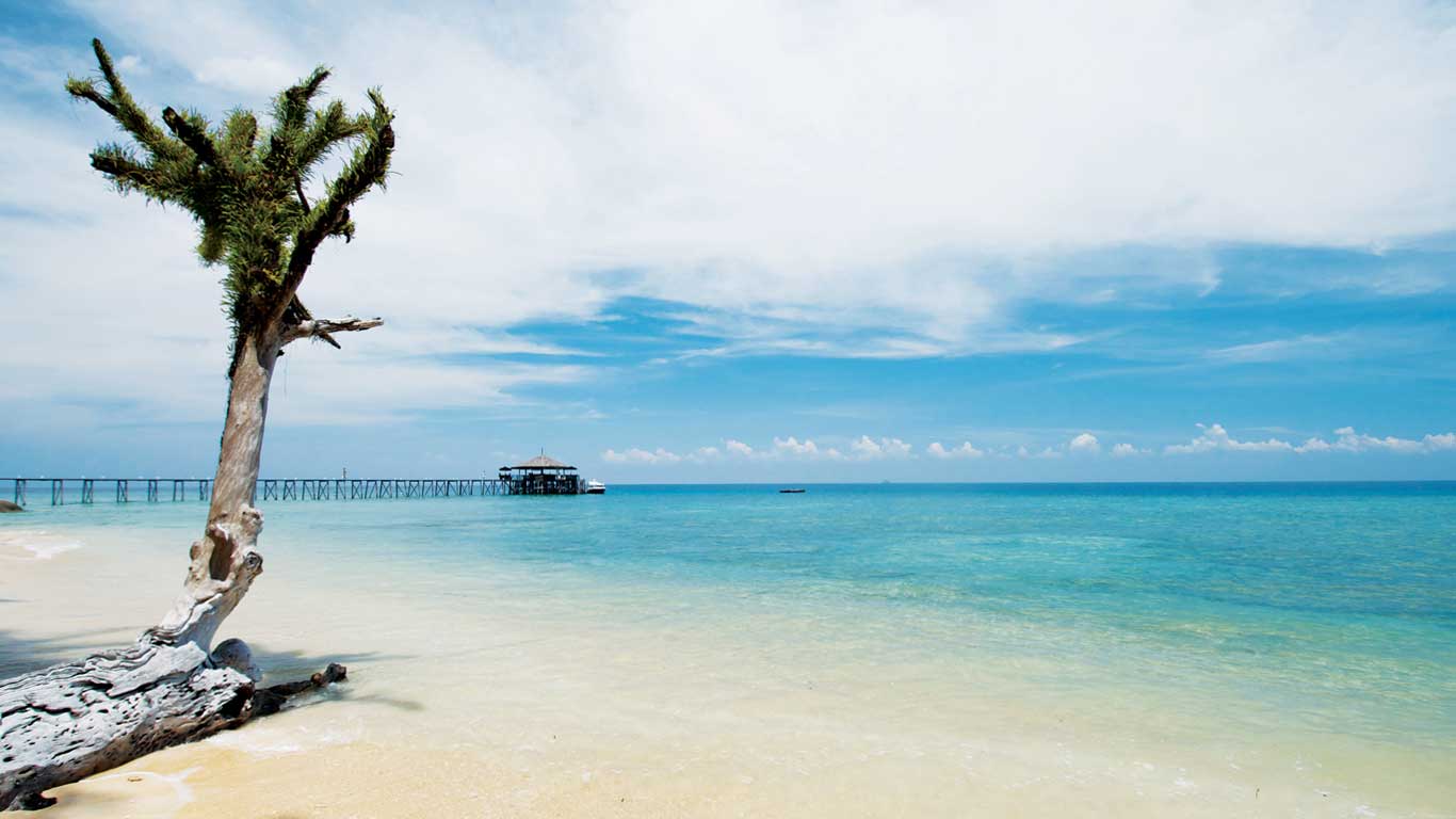 Best Tioman Resort